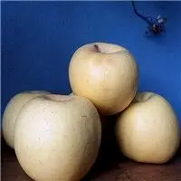 Organic Yellow Fuji Apple