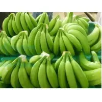 Cavendish Banana
