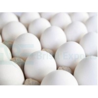 Chicken Eggs