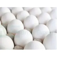 Chicken Eggs