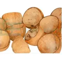 Coconut Shell Chips