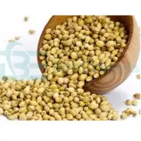 Coriander Seeds & Powder