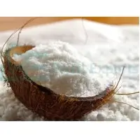 Desiccated Coconut Powder