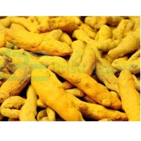 Turmeric