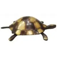 Brass Tortoise Show Piece