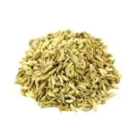 Fennel Seeds