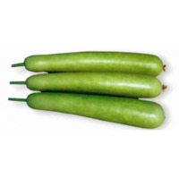 Fresh Bottle Gourd