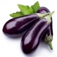 Fresh Brinjals