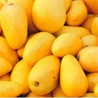 Fresh Mango