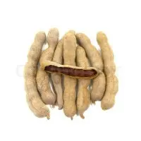 Tamarind Seed