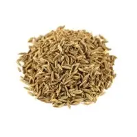 Cumin Seeds