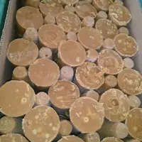 Piloncillo Or Brown Sugar