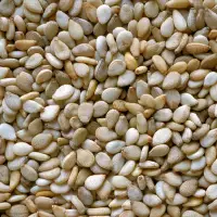Sesame Seeds