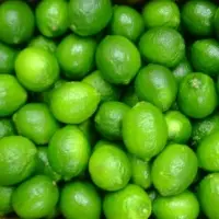 Lemon Persa
