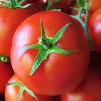 Red Tomato