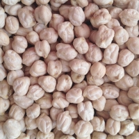 White Chickpeas