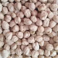 White Chickpeas