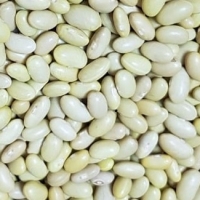 Higuera Beans