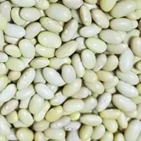 Higuera Beans