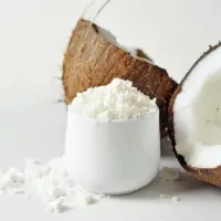 Coconut Cream Powder