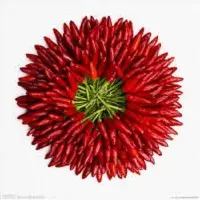 Capsaicin Oil