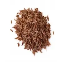 Caraway Oil