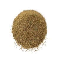 Celery Seed Oil
