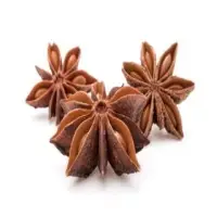 Anise Oil