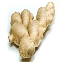 Ginger Oil