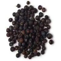 Juniper Berry Oil
