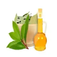 Laurel Leaf Oil