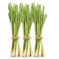 Lemongrass Oil