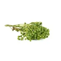 Litsea Cubeba Oil