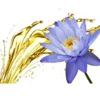 Lotus Absolute Oil
