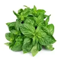 Basil Oil