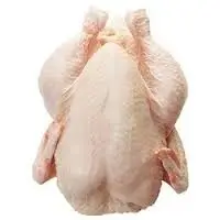 Halal Frozen Chicken