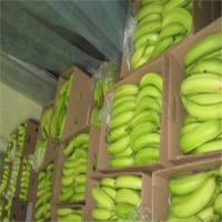 Plantain Harton