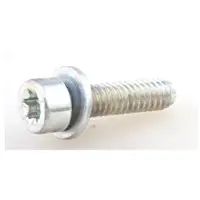 Sem Screw Torx