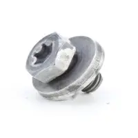 Double Drive Screw