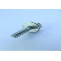 Double Drive Taptite Screw
