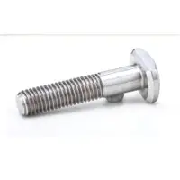 D Head Screw
