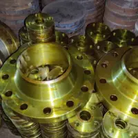 Weld Neck Flanges