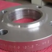Screwed Or Threaded Flanges