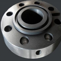 Ring Type Joint Flange