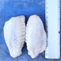 Chicken Middle Wing