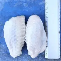 Chicken Middle Wing