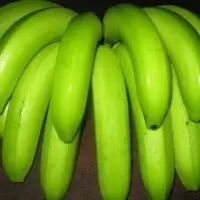 Cavendish Banana