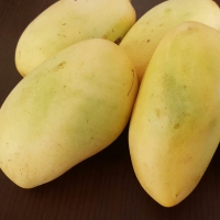 Fresh Mango