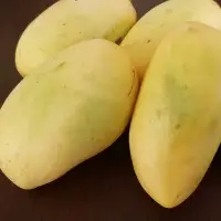 Fresh Mango