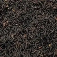 Organic Riceberry Rice